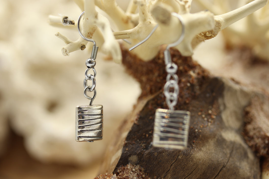 Boucles d'oreilles stainless  - BO011