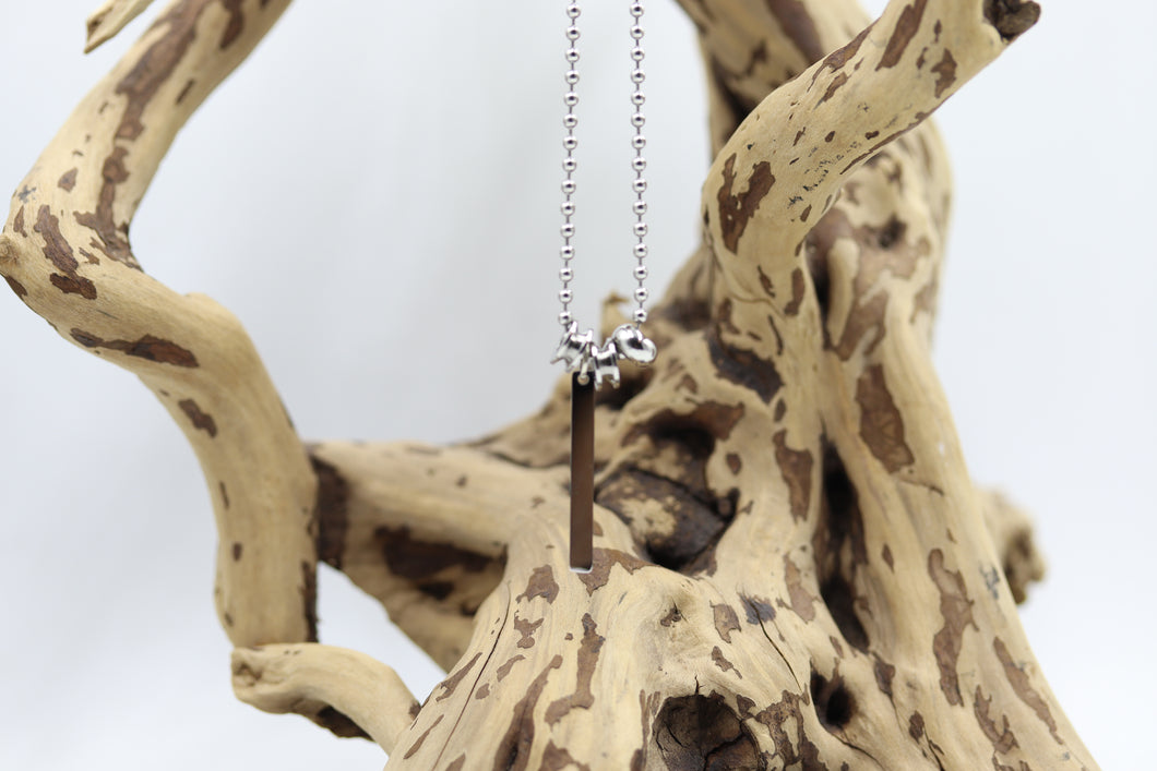 Chaîne homme stainless et pendentif - HCH035