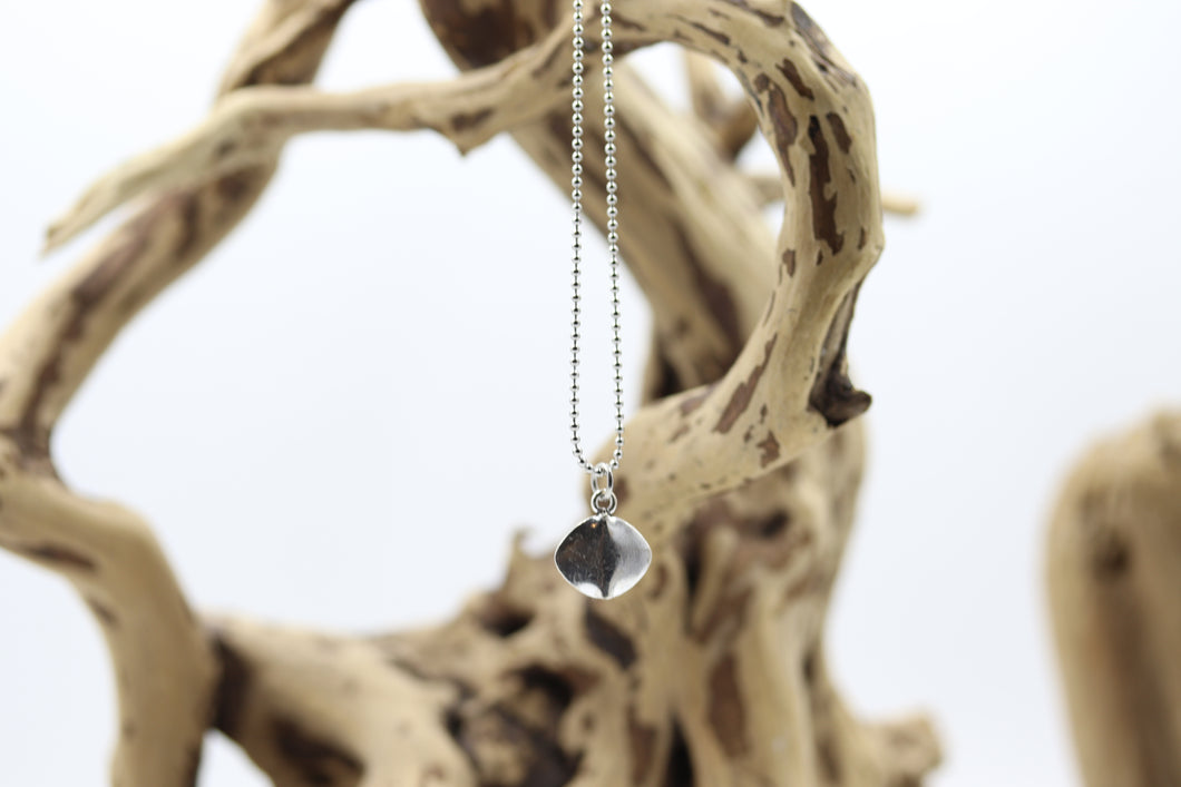 Chaîne homme stainless et pendentif - HCH036