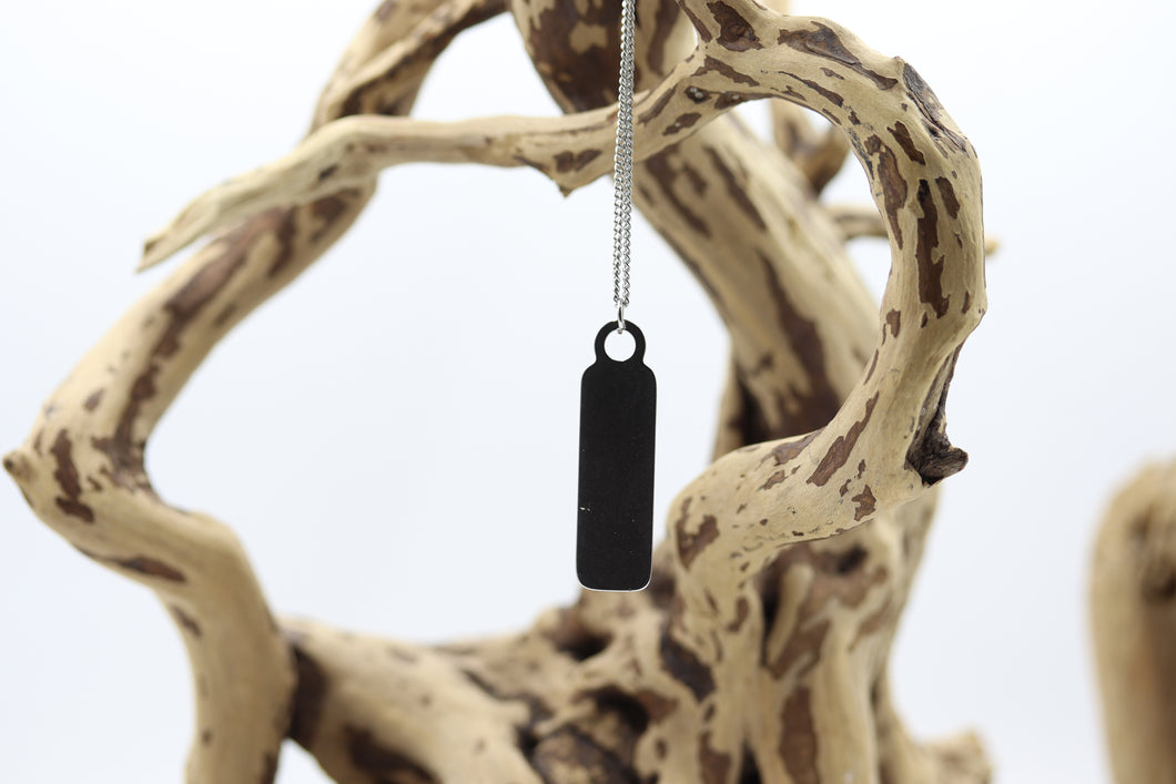 Chaîne homme stainless et pendentif - HCH034