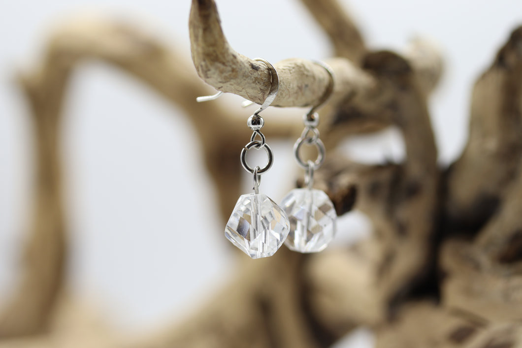 Boucles d'oreilles stainless  - BO026